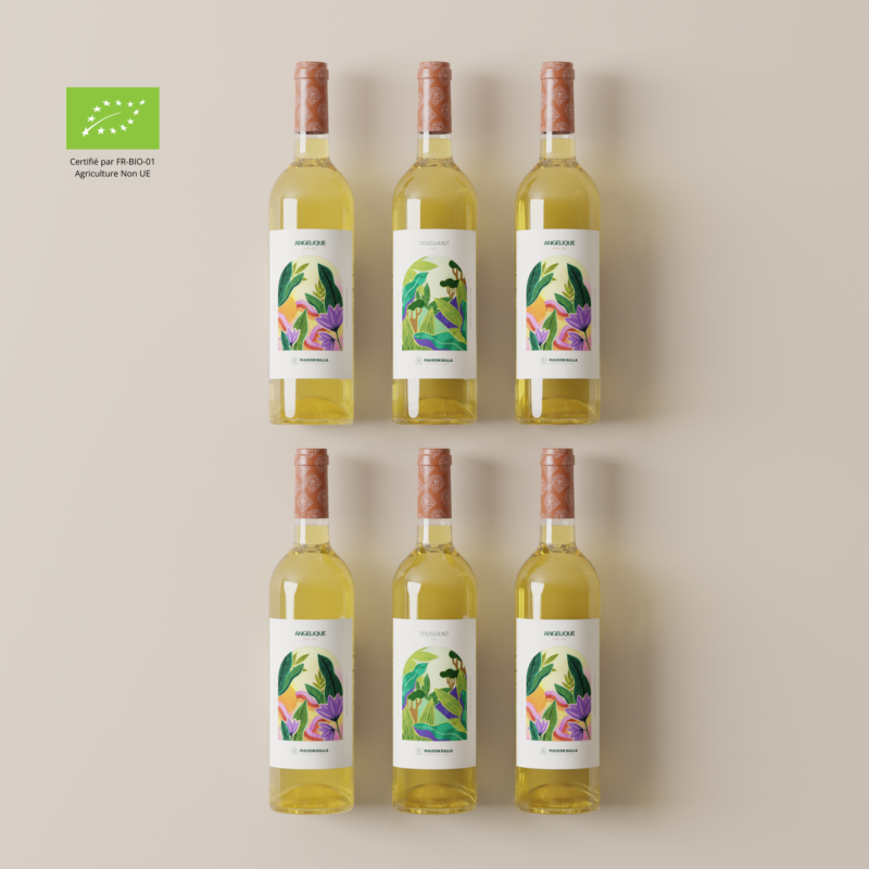 coffret 6 bouteilles de vin d'ananas biologique