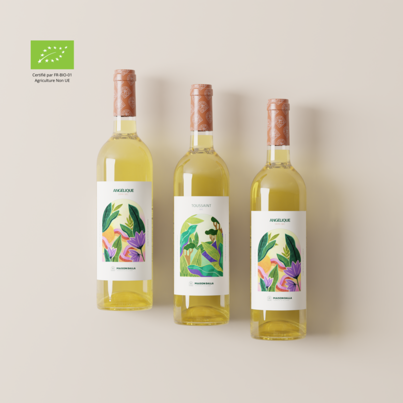 coffret 3 bouteilles de vin d'ananas biologique